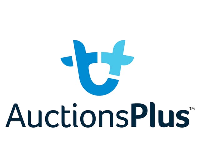 Auctions Plus 