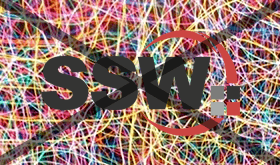 ssw logo - 3d