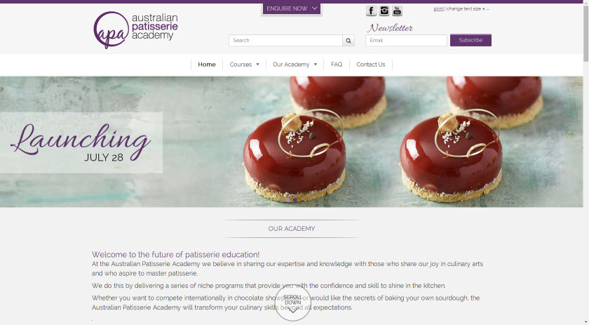 The new APA website